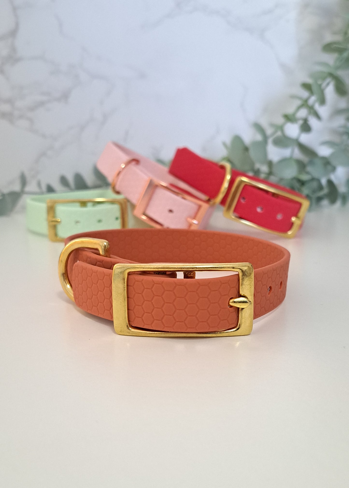 Hundehalsband "Bloom"