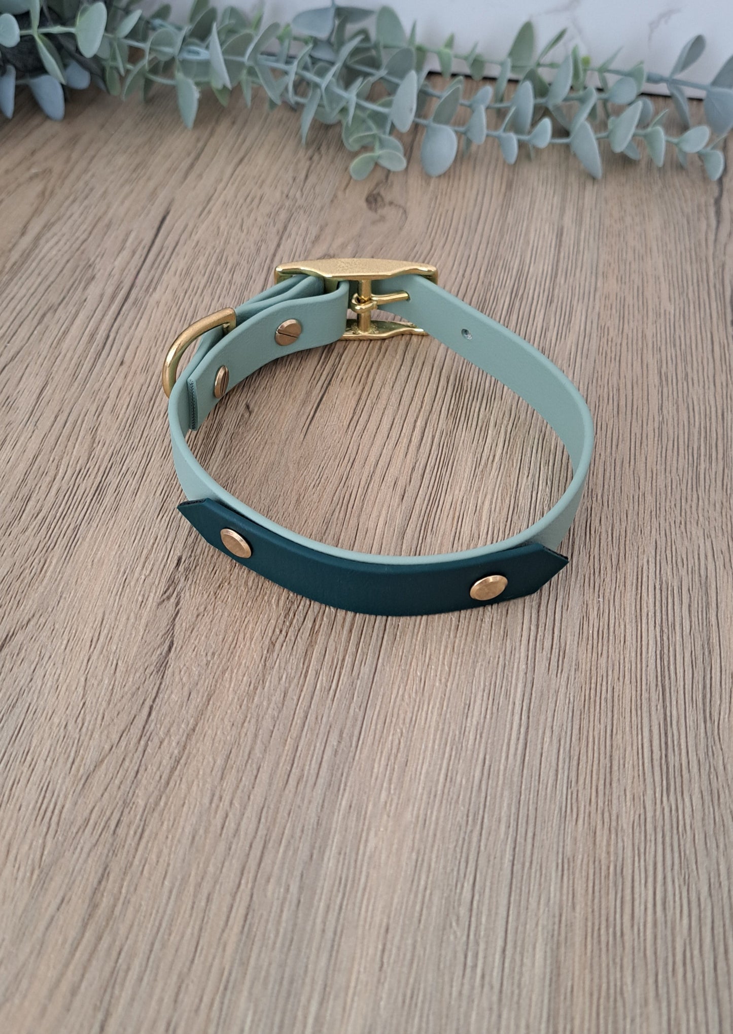 Sofortkauf Halsband