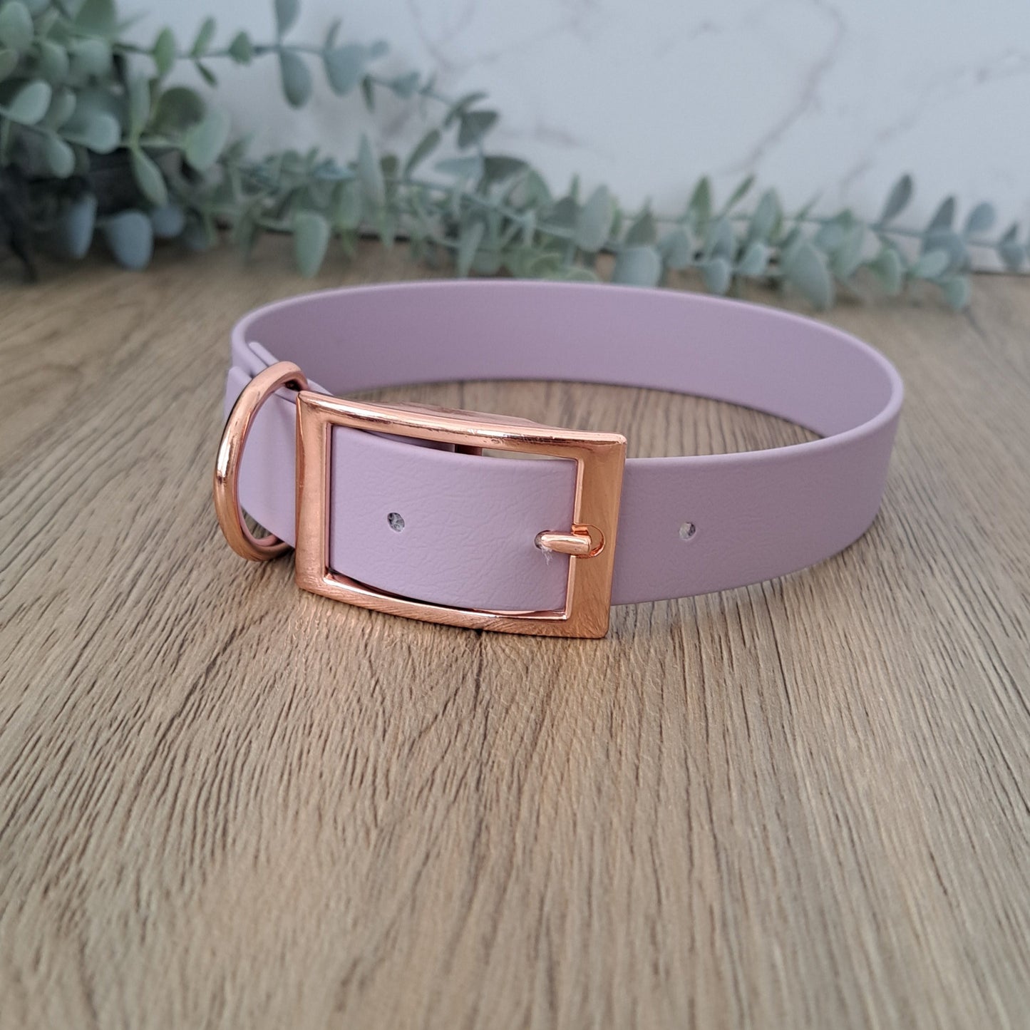Sofortkauf Halsband "Classy"