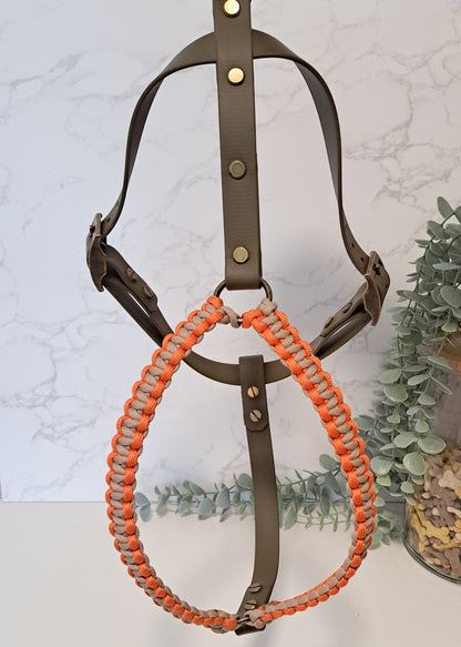 Hundegeschirr Biothane®xParacord
