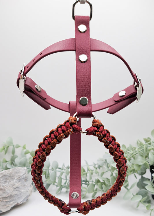 Hundegeschirr Biothane®xParacord