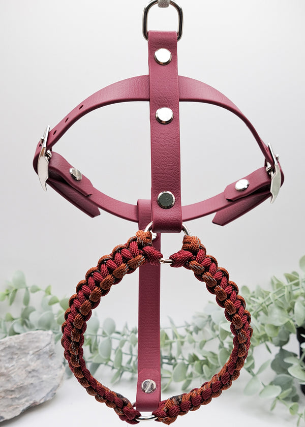 Hundegeschirr Biothane®xParacord