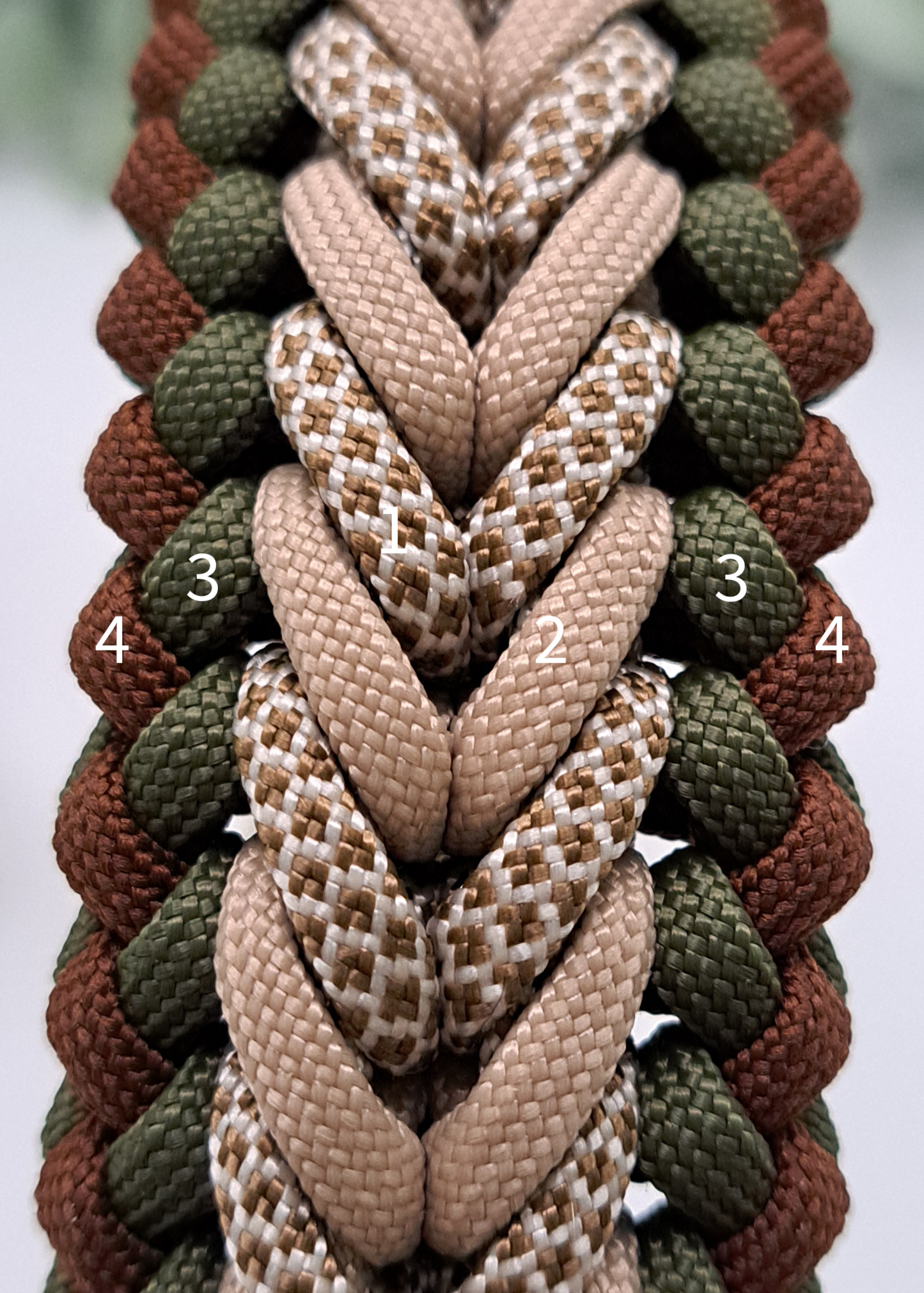 Paracord-Halsband "Taavi"