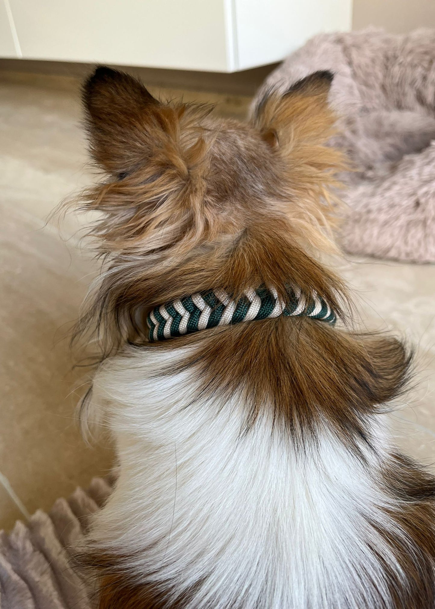 Paracordhalsband "Fishbone"