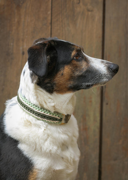 Paracord-Halsband "Holly"